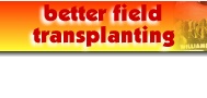 better field transplanters.jpg (7972 bytes)